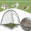 imagePop up Gardening Net Cover36x36x39 inch Pack of 2Pest Guard Cover for Vegetables Fruits Durable Plant Gardening Net PopUp Chicken Pen for Small Animals Outdoor Run and Pet Enclosure36x36x39inch