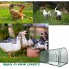 imagePortable Chicken Run Hen CoopWalkin Poultry HouseOutdoor Gardening NetEasyup Small Animals Enclosure for Protecting Pet and Plant with Metal Frames and 10 Stakes in Backyard and Farm