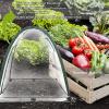imagePortable Greenhouse for Garden Bed Easy SetUp Gardening Flower House ampamp Plant Sunshine Room with PVC Cover for Protecting Plant from Cold Frost ampamp Birds ampamp Insects3 Pcs Taper Plant Cover