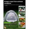 imagePop up Greenhouse Tent Cover Plant HouseGardening Flower Sunshine Room with Mesh WindowsBackyard PE Cover for Cold Frost Protector with Stakes and Rope Guys Mini Size 45x22