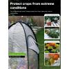 imagePop up Greenhouse Tent Cover Tunnel Plant HouseLarge Gardening Flower Sunshine Room with Mesh WindowsBackyard PE Cover for Cold Frost Protector with Stakes and Rope Guys Mini Size 29