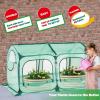imagePop up Greenhouse Tent Cover Tunnel Plant HouseLarge Gardening Flower Sunshine Room with Mesh WindowsBackyard PE Cover for Cold Frost Protector with Stakes and Rope Guys Large SizeLarge Size