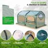 imagePop up Greenhouse Tent Cover Tunnel Plant HouseLarge Gardening Flower Sunshine Room with Mesh WindowsBackyard PE Cover for Cold Frost Protector with Stakes and Rope Guys Large SizeLarge Size