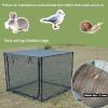 imagePoray Large 123X4FT Tunnel Plant Netting Cover6FT Tall Crop Cage Tomato Netting for VegetablesampFruitsDurable Gardening Net for Plant and Animals494939inches Square Net