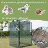 imagePoray Large 123X4FT Tunnel Plant Netting Cover6FT Tall Crop Cage Tomato Netting for VegetablesampFruitsDurable Gardening Net for Plant and Animals4949728inches Square Net